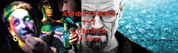 шишки Инсар