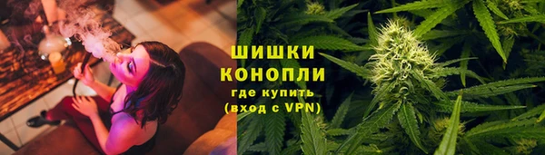 ешки Инта