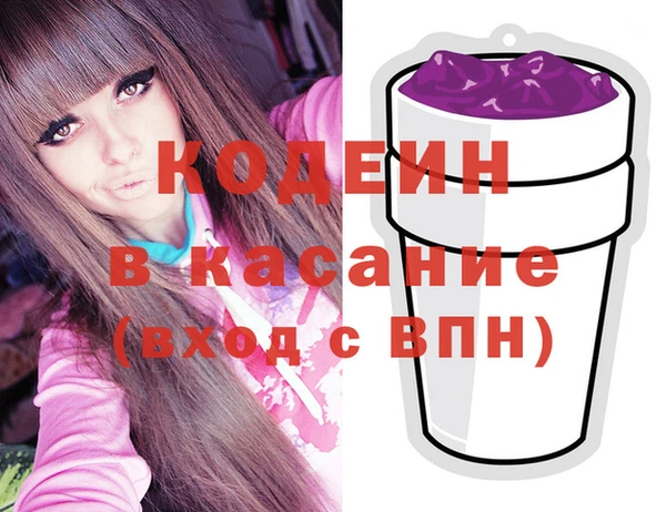 шишки Инсар