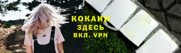шишки Инсар