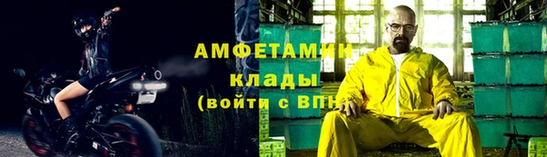 шишки Инсар
