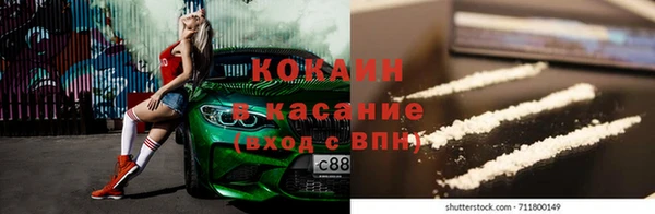 шишки Инсар