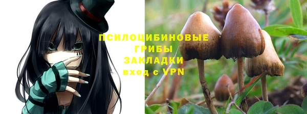 прущие крисы Иннополис