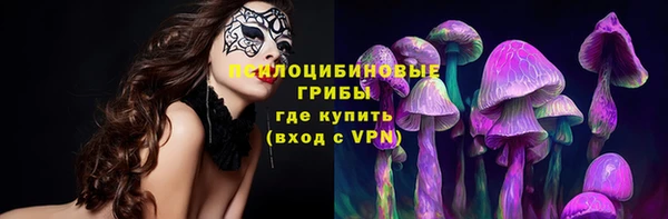 шишки Инсар