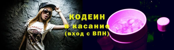 шишки Инсар