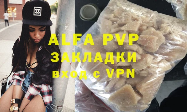 шишки Инсар