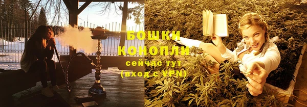 ешки Инта