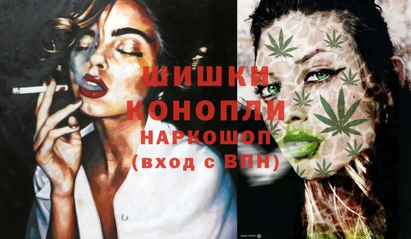ешки Инта