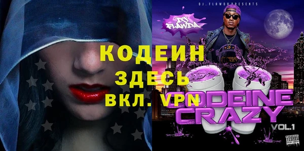 шишки Инсар