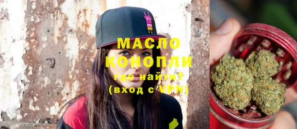 ешки Инта
