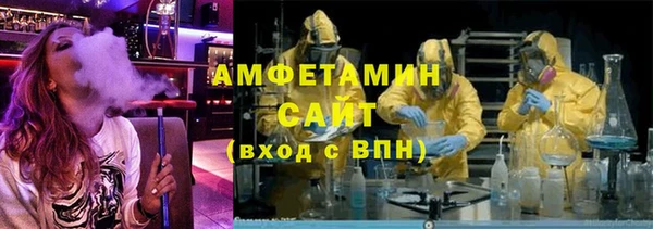 шишки Инсар