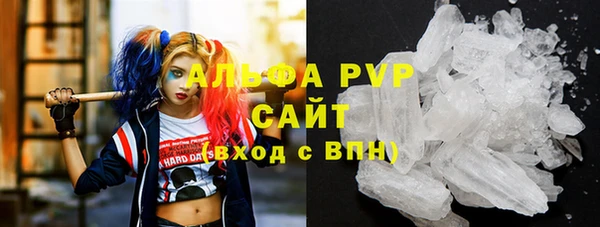 шишки Инсар