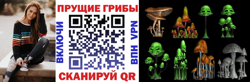 Псилоцибиновые грибы GOLDEN TEACHER  Купить  Ивангород 
